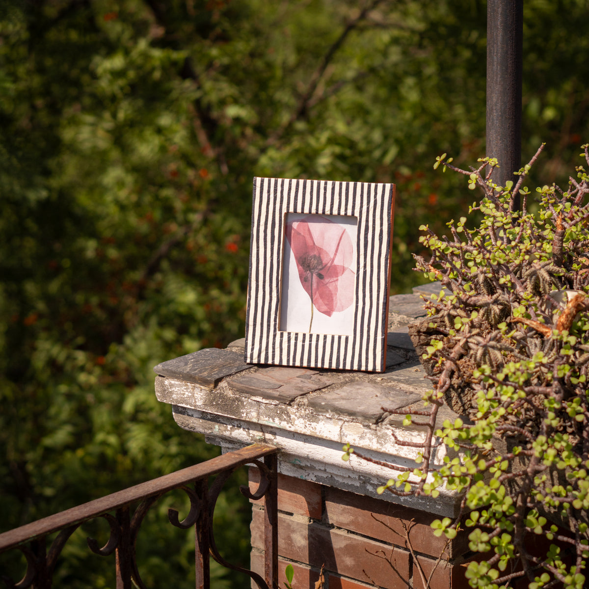 Black-and-white striped wooden photo frame displayed vertically outdoors